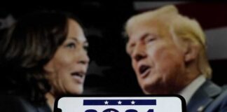Long-term Implications of the Trump-Harris Debate for American Democracy