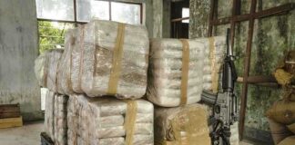 Joint U.S.-Mexico Efforts Unleash Major Actions Against Crime and Corruption