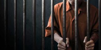 Atlanta Executive Faces Consequences for Major Financial Crimes