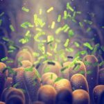 Green bacteria among intestine lining cells, microscopic view