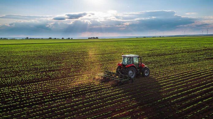 Tractor plowing a vast green field at sunset.