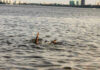 Persons hand reaching out from the water