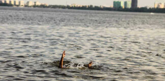 Persons hand reaching out from the water