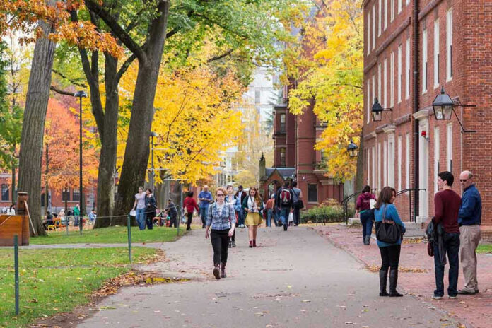 193437935 People walking on a college campus in autumn