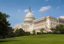 The US Capitol building surrounded by green grass and trees under a blue sky