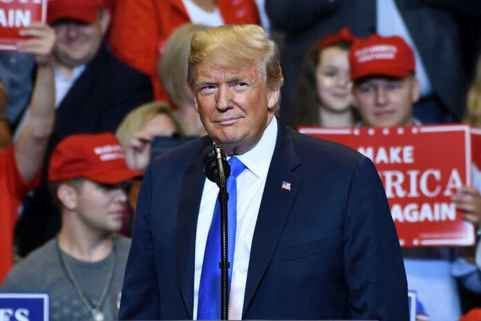 1149680009 Person at a rally with Make America Great Again signs.