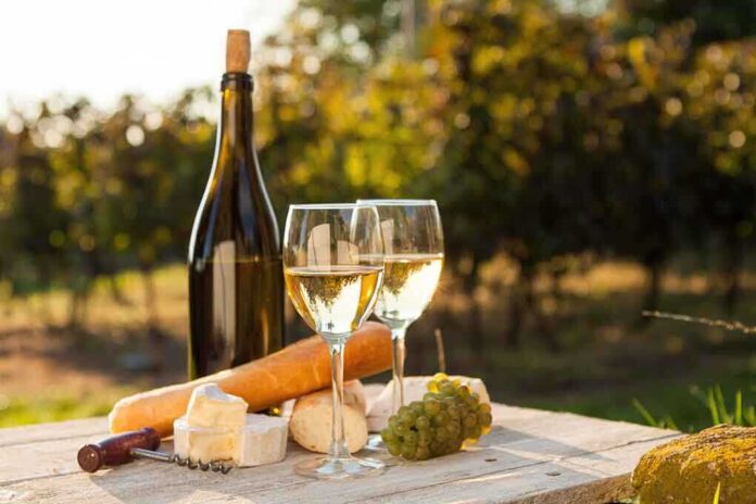 shutterstock_156451127.jpg A bottle of white wine, two glasses, cheese, and grapes on a wooden table in a vineyard