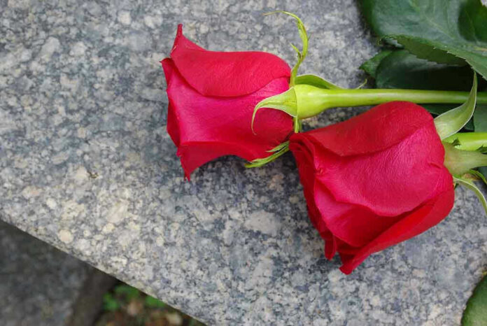 Two red roses on a gray stone surface.