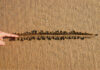 Finger drawing line in wet sand beach