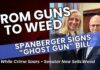 Ghost Gun Ban Passed – Then Senator Quits to Sell Pot in