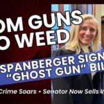Ghost Gun Ban Passed – Then Senator Quits to Sell Pot in