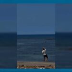 Tourist ATTACKS Endangered ANIMAL! WATCH: Man throws rock at Hawaiian monk seal along Maui beach