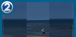 WATCH: Man throws rock at Hawaiian monk seal along Maui beach