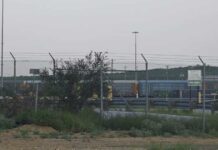 6 Dead in Union Pacific Boxcar - Mother's Day Tragedy at Jim Young Way Railyard
