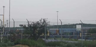 6 Dead in Union Pacific Boxcar - Mother's Day Tragedy at Jim Young Way Railyard
