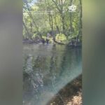 Beaver attacks family at New Jersey lake
