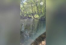 Beaver attacks family at New Jersey lake