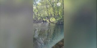 Beaver attacks family at New Jersey lake