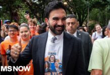 Democratic Incumbents Fall as Socialists Surge in New York Mamdani-backed candidates sweep NYC primaries