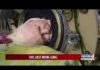 The Last Known Iron Lung Patient in the U.S. Has Died The Last Iron Lung User