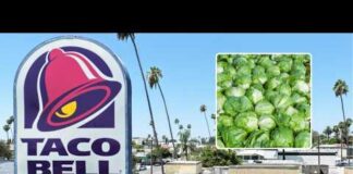 Cyclosporiasis outbreak linked to shredded lettuce served at some Taco Bell locations: Source