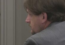 Surveillance Dragnet Sparks Explosive Pushback Detective: Suffolk man accused of damaging Flock cameras said they're 'unconstitutional'