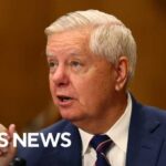 How Sen. Lindsey Graham's Senate seat will get filled