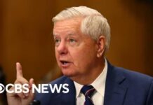 How Sen. Lindsey Graham's Senate seat will get filled
