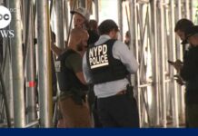 Upper West Side stabbing spree suspect in custody