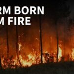 A Wildfire So Intense It Made Its Own Storm France wildfire creates its OWN thunderstorm — and it’s spreading fire