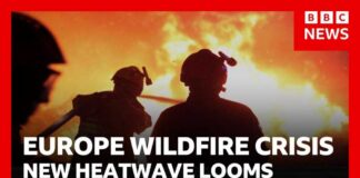 Europe wildfires: France warns of worst crisis "since WW2” as new heatwave looms | BBC News