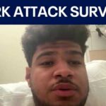Georgia man saves pregnant fiancée during shark attack | FOX 5 News