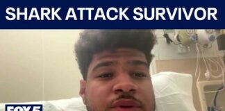 Georgia man saves pregnant fiancée during shark attack | FOX 5 News