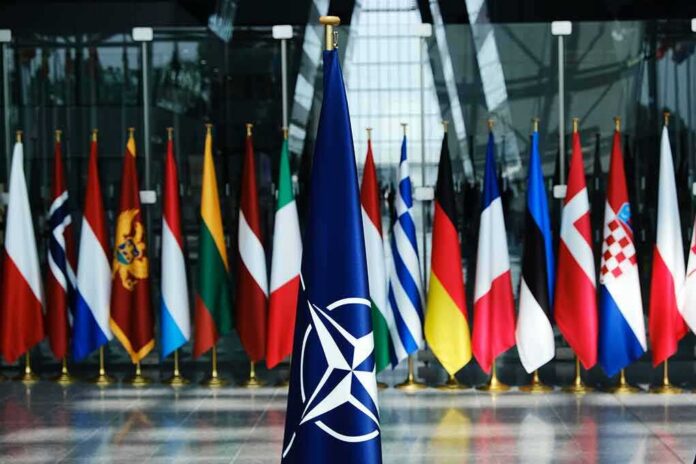 NATO flag with member country flags in the background