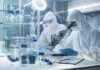 Animals May Hold a Hidden Key to Nature’s Carbon Cycle Scientists in protective suits using a microscope in a laboratory