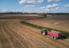 Tractor with red trailer on harvested field
