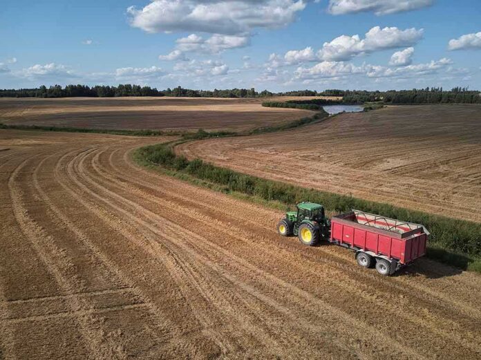 Tractor with red trailer on harvested field