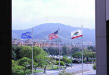 Four Assault Reports, Three Weeks three flags waving in front of suburban neighborhood and mountains
