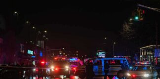 Nighttime police scene with flashing lights on a wet city street