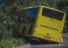 Rush-Hour Slams: Deadly Bus Crash yellow bus crashed into roadside bushes