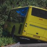 yellow bus crashed into roadside bushes