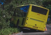 Rush-Hour Slams: Deadly Bus Crash yellow bus crashed into roadside bushes