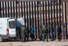 Border Patrol Warns Migrant Caravan of Removal Border agents escort a group near a tall fence and a patrol van