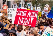 Crowd at climate protest holding signs