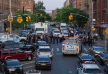 Suspect Arrested in Bronx Hit-and-Run Injuring NYPD Officer Police vehicles and officers block a city street during an active scene