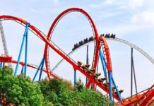 Fatal Ejection Sparks Major Ride Safety Review Colorful roller coaster with riders on a sunny day